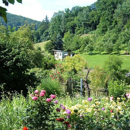 Ferienwohnungen "Allerleigruen" Langenroda Buitenkant foto