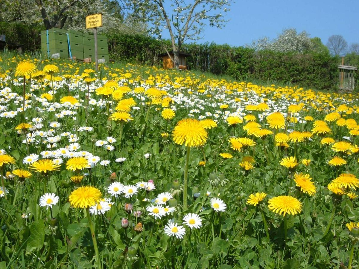Ferienwohnungen "Allerleigruen" Langenroda Buitenkant foto
